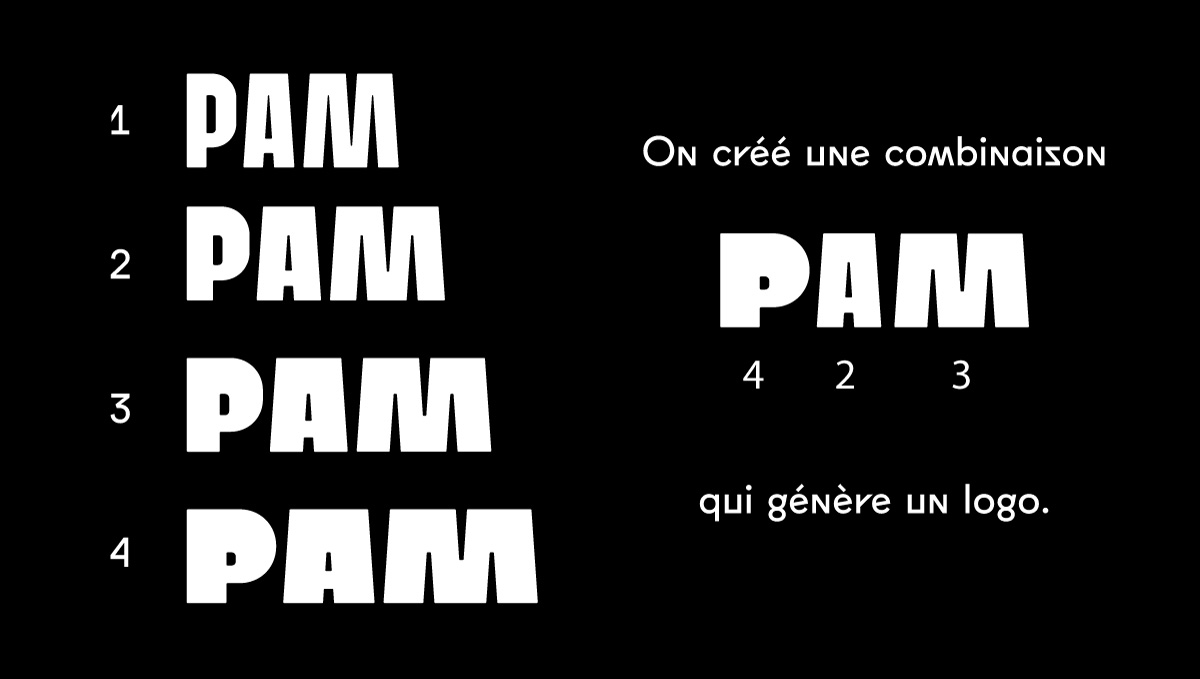 PAM-logo-variable
